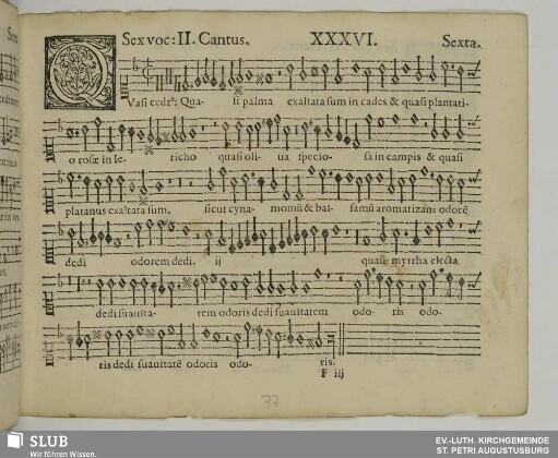 XXXVI. Quasi cedrus exaltata sum