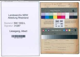 Entnazifizierung Albert Liesegang , geb. 21.11.1899 (Richter)
