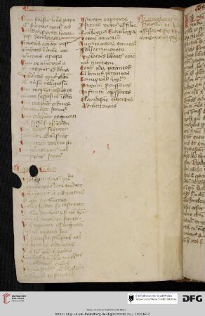 Casus papales et episcopales