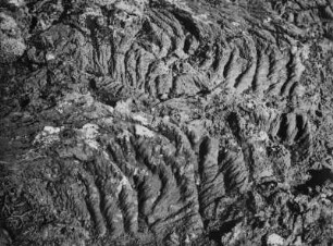 Nahaufnahme der zähflüssigen 'Seil' oder 'Zopf'-Lava, Island