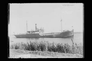 Perseus (1910), Neptun.- Dampfschifffahrts-Gesellschaft „Neptun“, Neptun Linie, D.G. "Neptun", Bremen