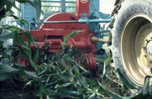 Fotografie: Erntetechnik, Silomais, Feldhäcksler gezogen, Pickup