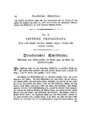 Tab. II. Testudo Tricarinata : Dreykielichte Schildkröte