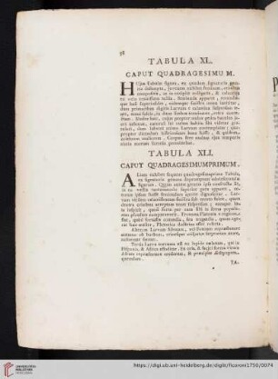 Tabula XLI. Caput Quadragesimumprimum