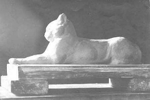 Liegende Katze (Sphinx)