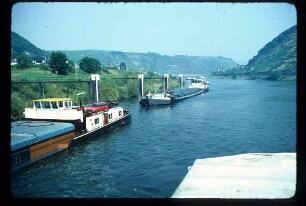 Vorhafen Schleuse Lehmen/Mosel