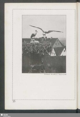 Vor dem Abflug