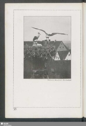Vor dem Abflug