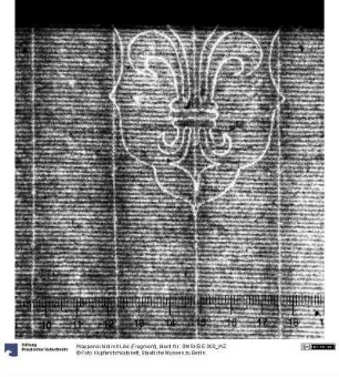 Wappenschild mit Lilie (Fragment)