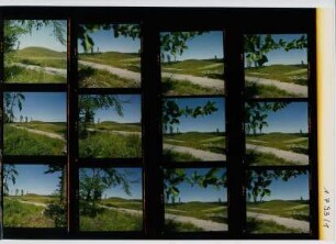 Monodeponie Burgbergwald, Crailsheim (Maulach), 1993