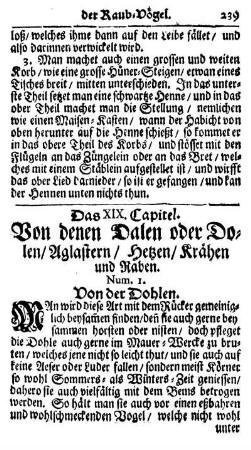 Das XIX. Capitel. Von den Dahlen oder Dohlen, Aglastern, Hetzen, Krähen und Raben.