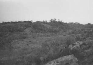 Landschaft : Landschaft mit Vegetation