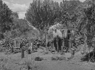 Holzfiguren : Holzfiguren eines Denkmals der Konso