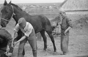 Zweiter Weltkrieg. Zur Einquartierung. Sowjetunion. Angehörige der deutschen Wehrmacht beim Beschlagen eines Reitpferdes