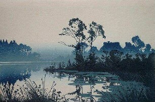 Wasser im Nebel