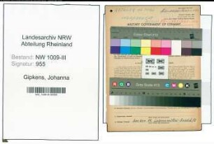 Entnazifizierung Johanna Gipkens , geb. 11.05.1900 (Kauffrau)