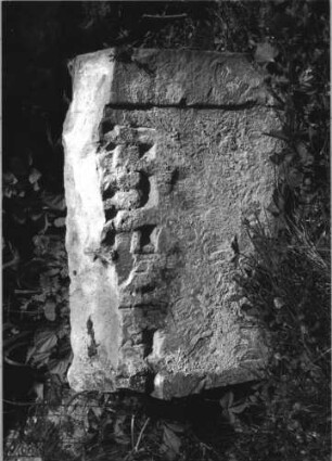 Grabstein 231 (Index: 100110531) Material: Sandstein Zustand: Fragment Maße HxBxT: 30x45x12 cm Beschreibung: Schriftfeld eingetieft (Fragment): Grabstein 231 (Detailaufnahme)
