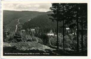Waldbärenburg. Heuweg