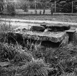 Sachteil: Ziehbrunnen; Erbach, Fortunastraße 35
