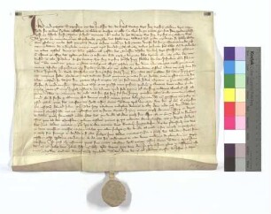 Das Geistliche Gericht in Speyer vidimiert die Urkunde Kaiser Karls IV., mit der er die Privilegien des Klosters Maulbronn und besonders die Anordnung König Wilhelms, dass die Schirmvogtei des Klosters nicht von dem Reich entäußert werde, bestätigt.