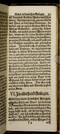 VI. In allerhand Anliegen.
