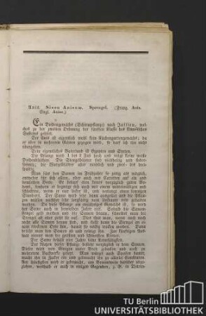 Anis. Sison Anisum. Sprengel. (Franz. Anis. Engl. Anise.)