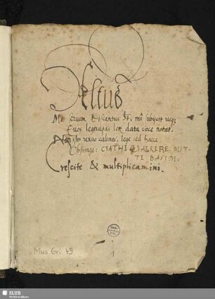 Altus