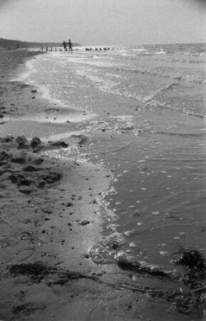Ostseeküste. Am Strand