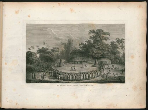 14. The Reception of Captain Cook, in Hapaee.