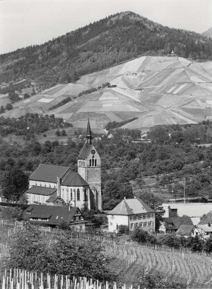 Weinanbaugebiet in Waldulm i. d. Ortenau