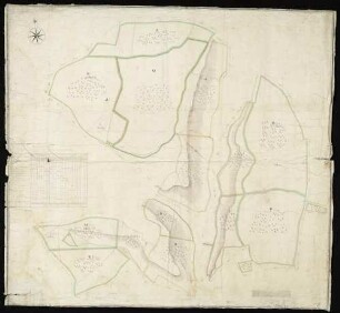 Nassau Forstkarte zum Hohenlohe-Weikersheimer Nassauer Forst (Am "Scheinhof", "Kapellholz" u. a.) mit Vermessungstabelle. Inselkarte