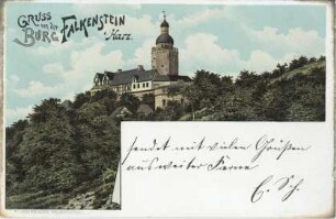 Ansichtskarte: Gruss von der Burg Falkenstein i. Harz