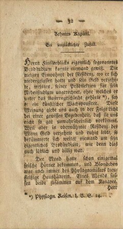 Zehntes Kapitel. Ein glücklicher Zufall.