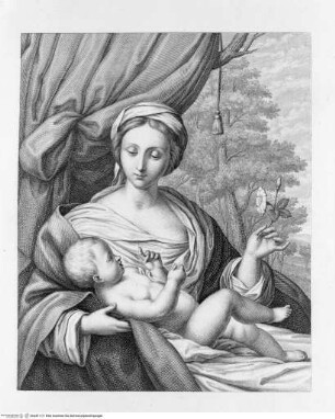 La Reale Galleria di Torino illustrataBand 1.Tafel XXII.: Die Madonna mit Rose - Volume ITafel XXII.: La Madonna della Rosa