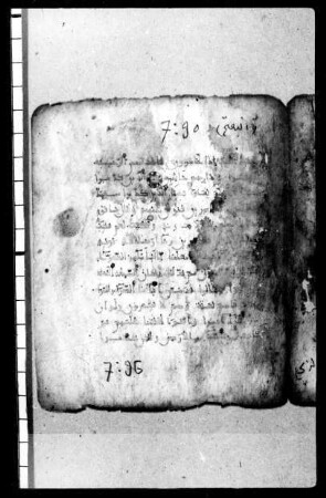 al- Qurʾān [DAM 12-8.1]