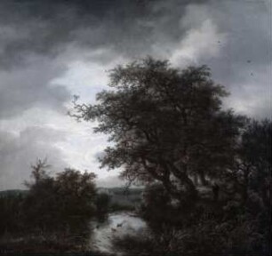 Riedlandschaft mit Bäumen