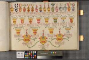 Proband: Schade, Karl Joseph von; Vater: Schade, Engelbert Jost Lambert von; Mutter: Schade, Maria Sophia von: Westfalen, Hzgtm, Ritterschaft