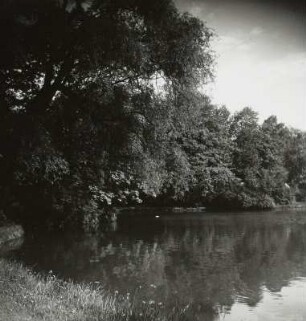 Dresden. Großer Garten. Carolasee