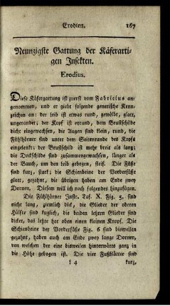 Neunzigste Gattung der Käferartigen Insekten. Erodius.