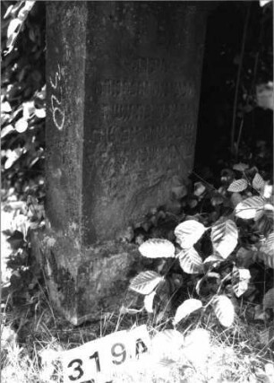 Grabstein 319 (Index: 100085213) Maße HxBxT: 100x38x20 cm Beschreibung: Stele, Sockel, Giebel, rechteckiges Schriftfeld eingetieft: Grabstein 319A