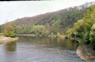 Marbach, Altarm vom Wehrsteg, flussabwärts