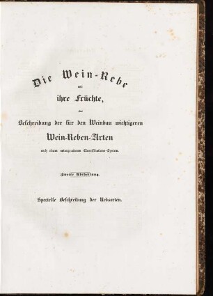 Zwischentitel