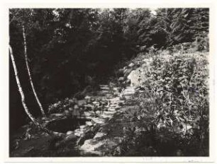 Garten Stuiber Böhmerwald: Teich