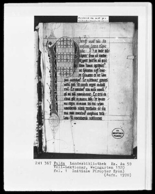 Voll-Lektionar — Initiale P(propter Syon), Folio 1recto
