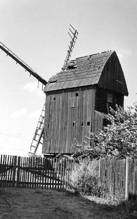 Bad Düben-Tiefensee. Mühle Sommerfeld, Bockmühle
