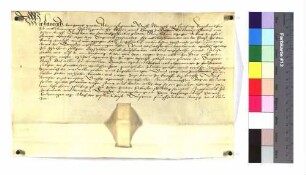 Lehenbrief Propst Heinrichs zu Ellwangen für M. Maier über einen Morgen Acker und drei Tagwerk Wiesmahd usw. zu Pfahlheim