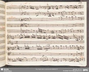 Aria no. 4: Maggior follia non v'è