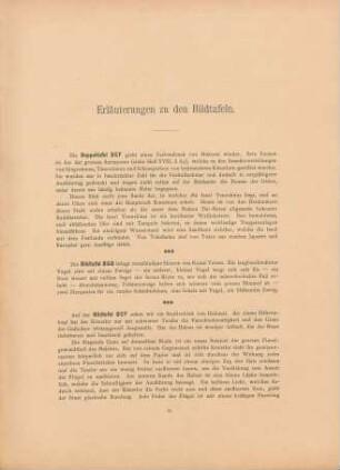 Erläuterungen zu den Bildtafeln