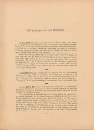 Erläuterungen zu den Bildtafeln