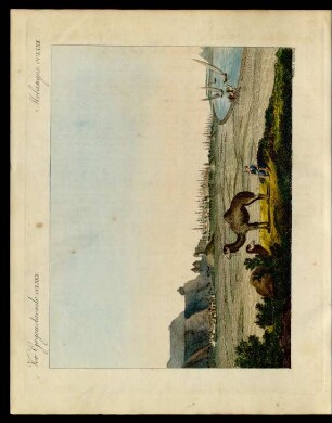 Kahira In Aegypten.